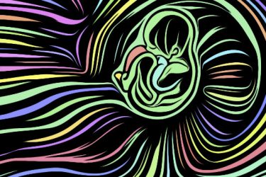 Case Discussion Webinar: Breastfeeding Management for a Mother with a Neurologic Illness - 20/10/11