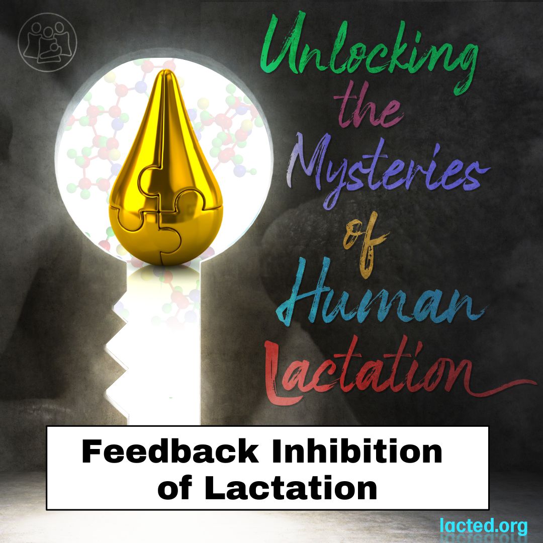 Research Series - Feedback Inhibition - Nov 2022