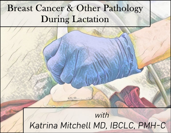 Breast Cancer and Other Pathology During Lactation - Jan. 2023